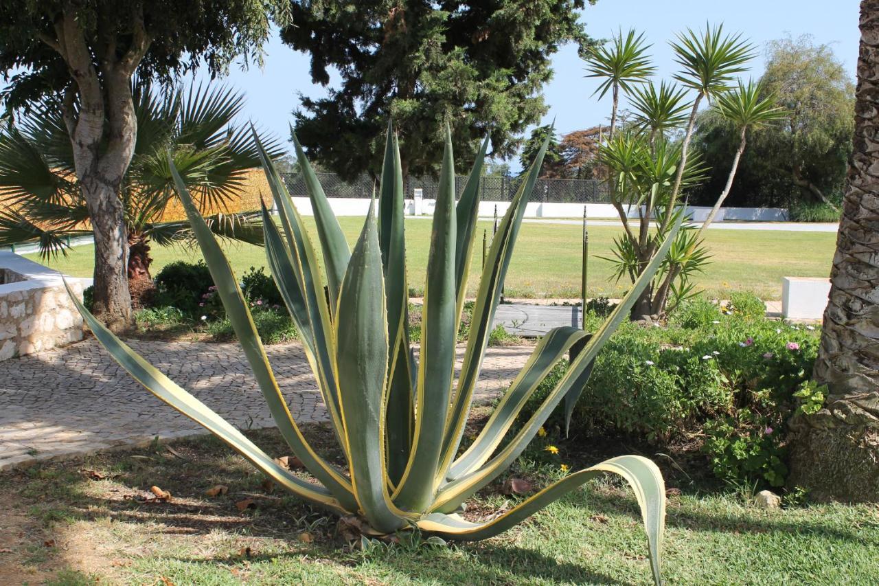 Appartement CASA BEACHCOMBER Le jardin des Arts à Lagos Extérieur photo